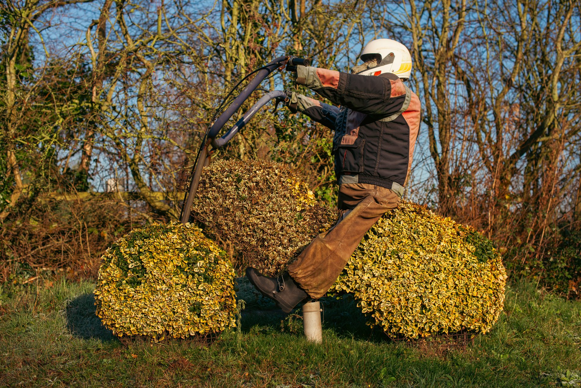 topiary motorcyle rider