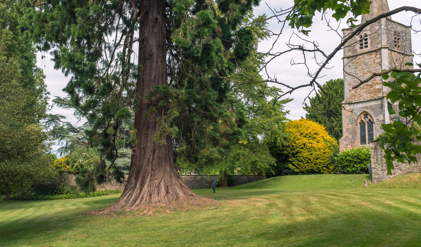 the gardens of hill court with church tower in background