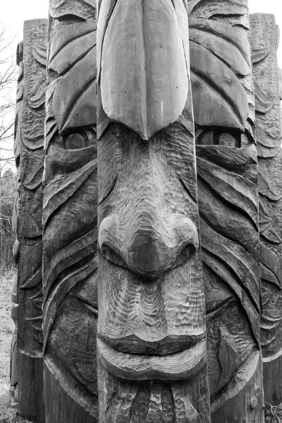 woodland scutpture depicting a face