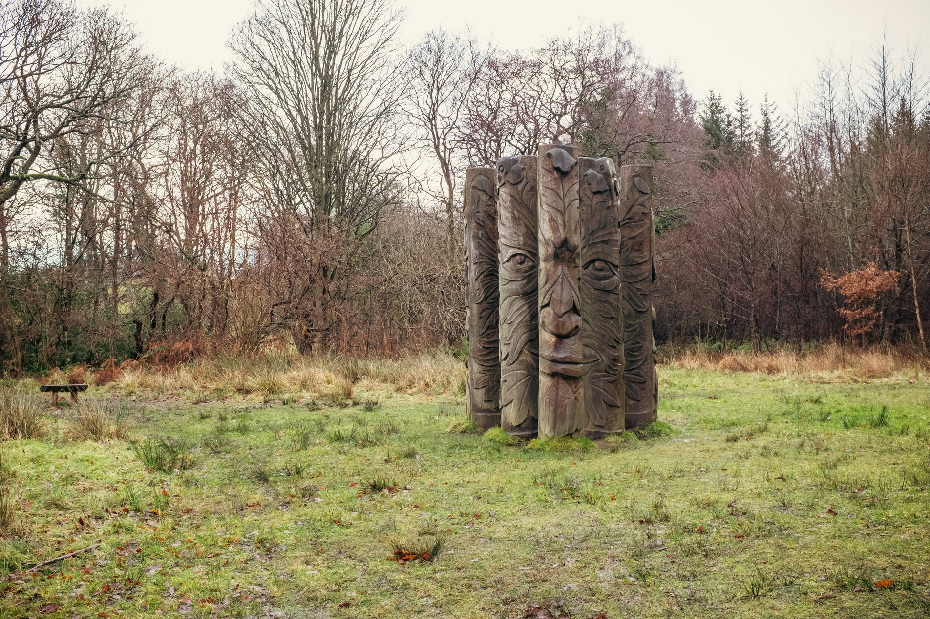 the green man, made of logs depicting a face, by local artist phil townsend