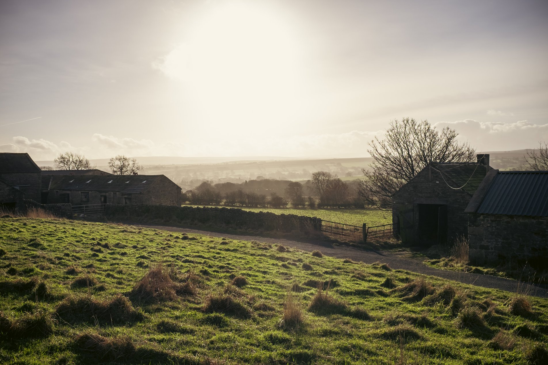 farm buildings in low sunlight
