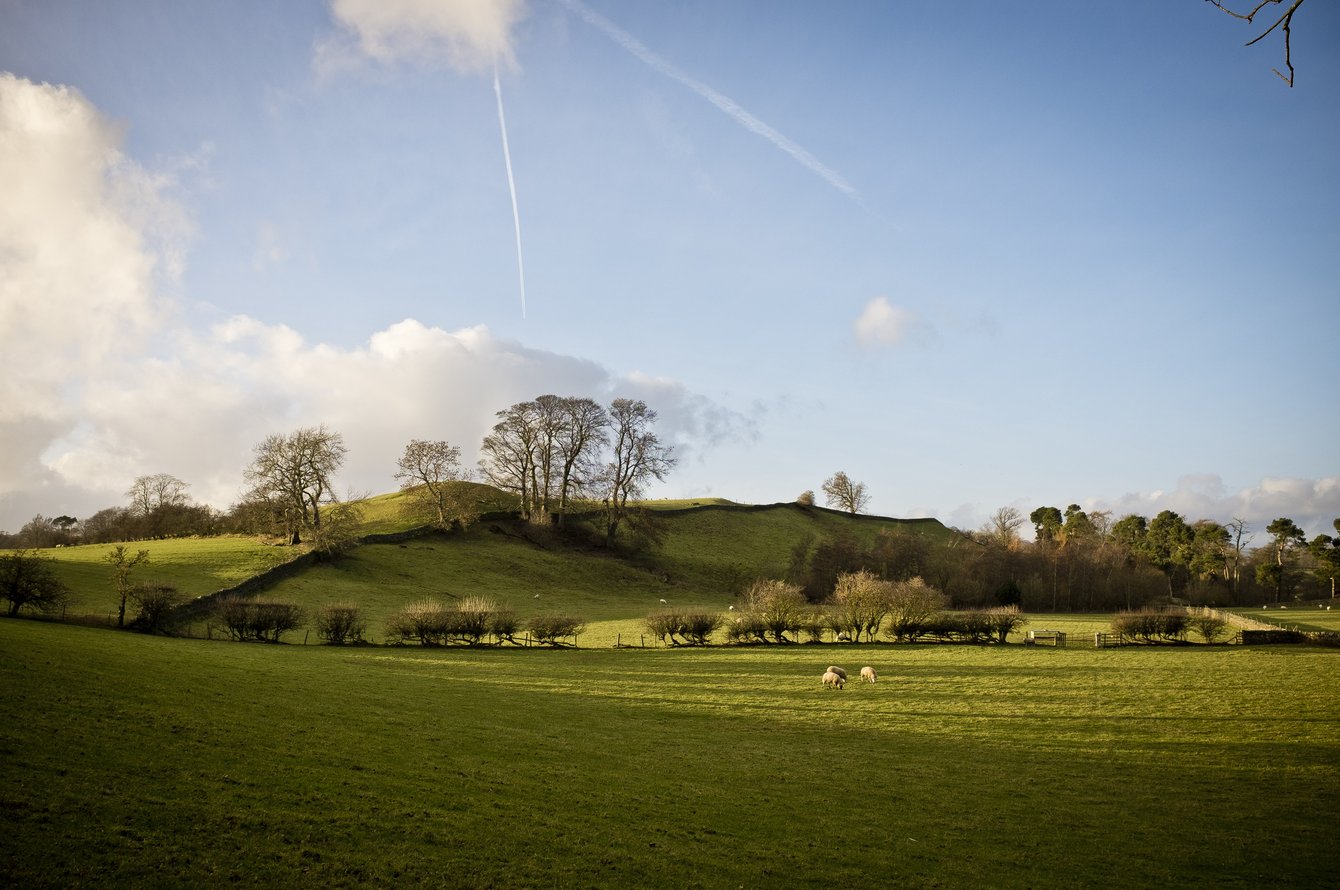 landscape of low hills with dry stone wall and sheep
