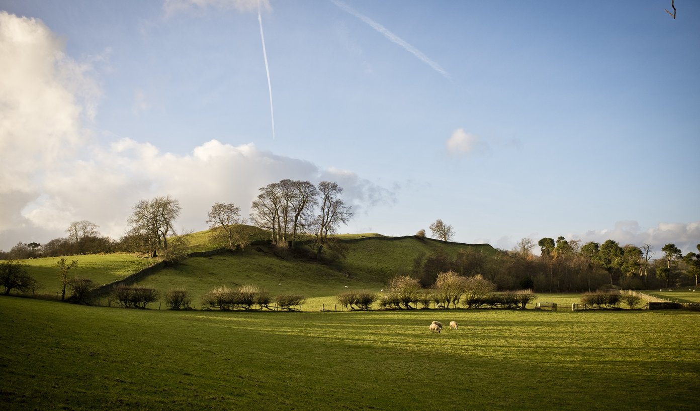 landscape of low hills with dry stone wall and sheep