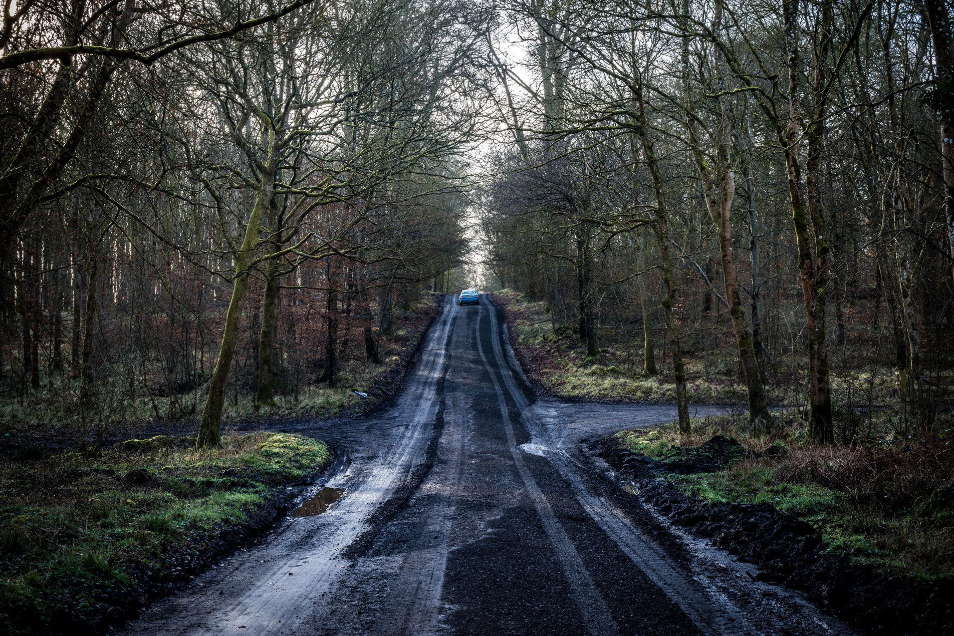 forest track with car in distance