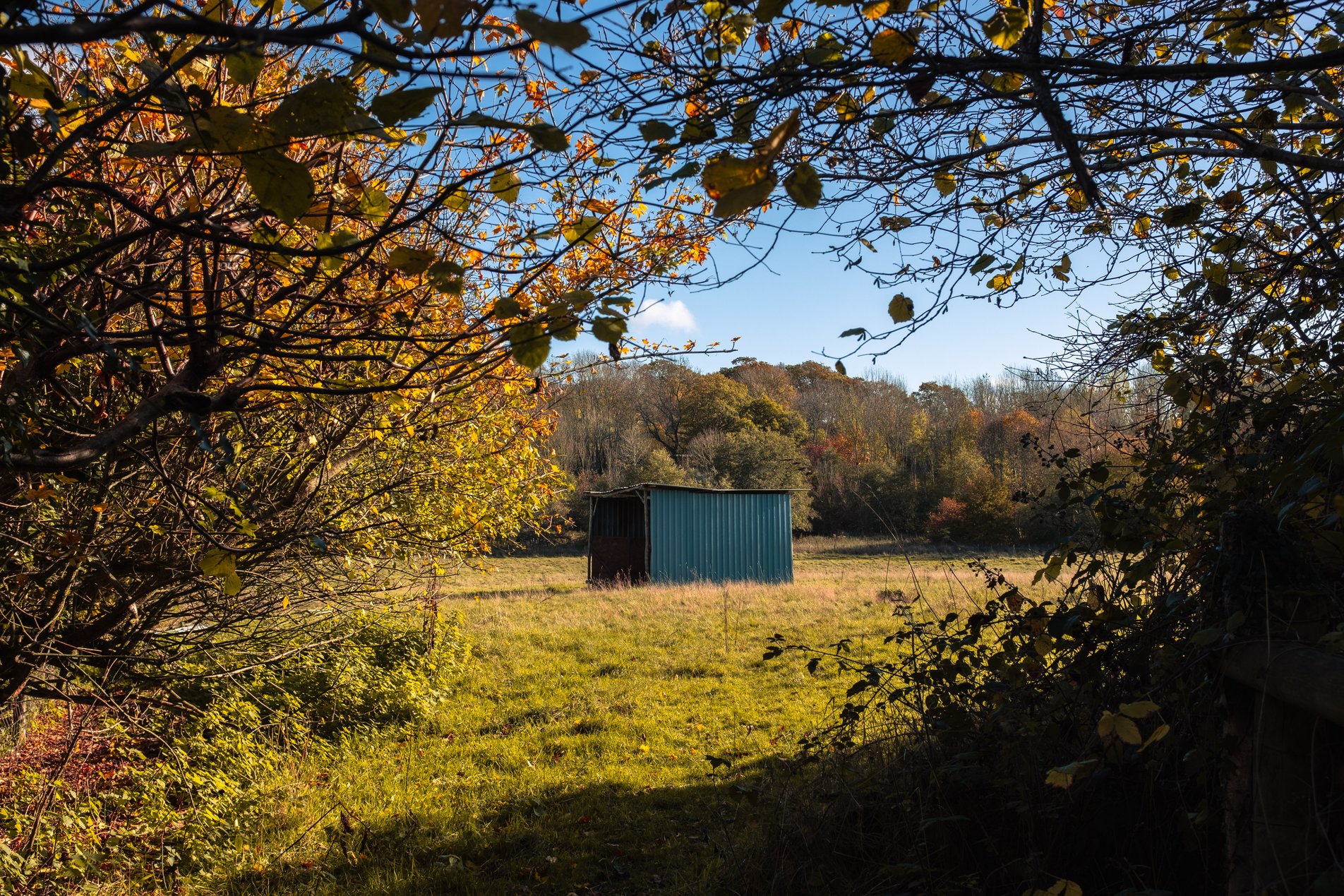 corrugated hut in field