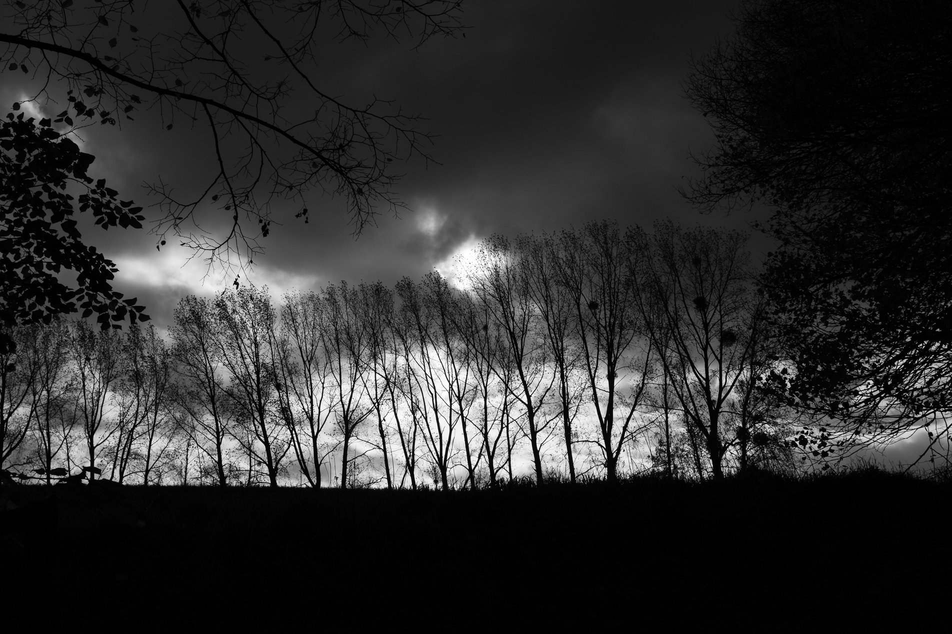 moddy skyline silhouette