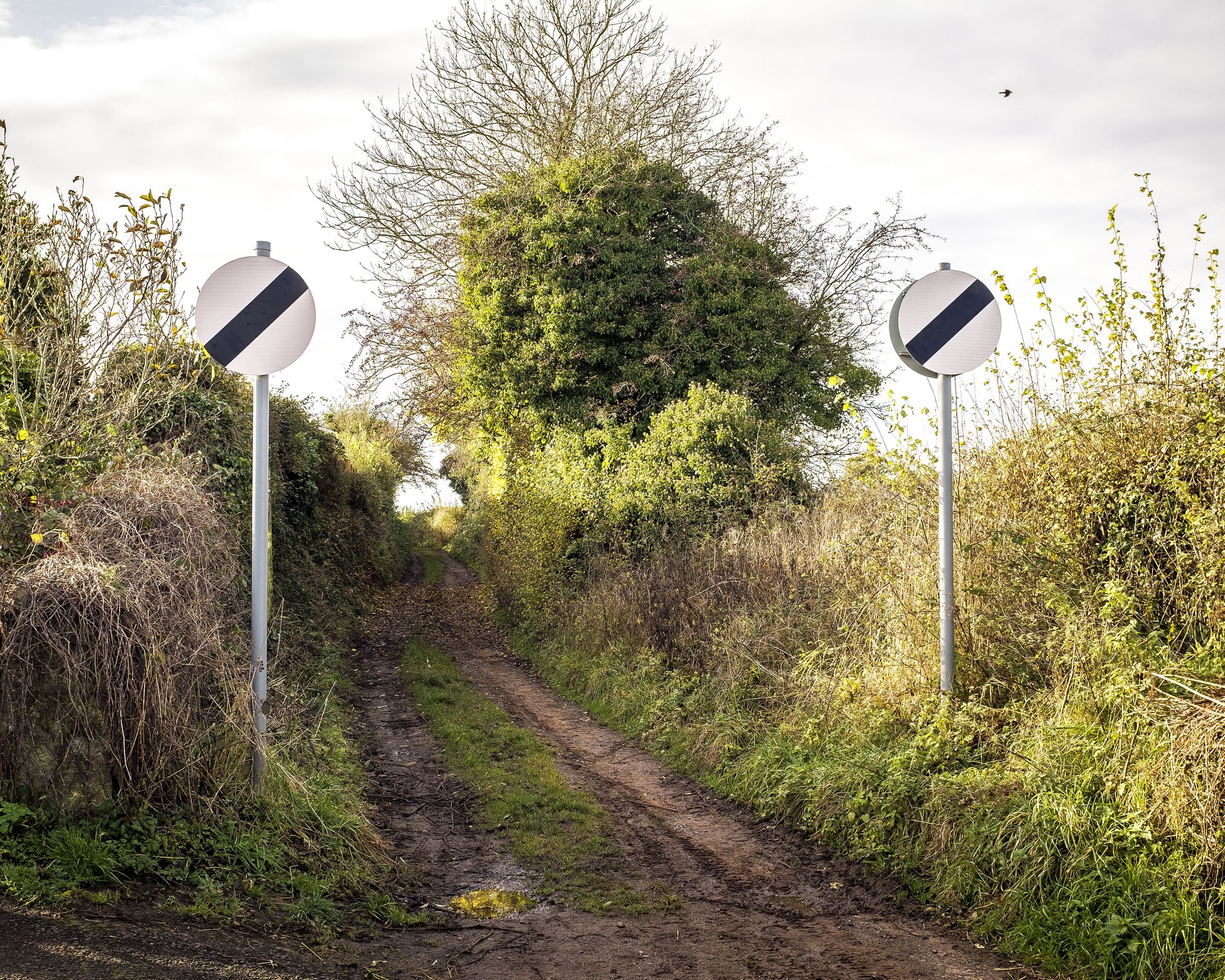 track with two national speed limit signs