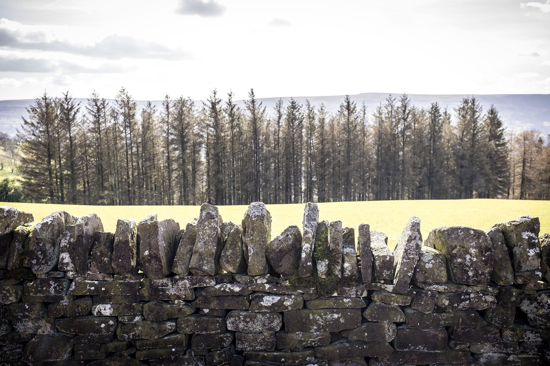 dry stone wall, field, trees and hills in profile