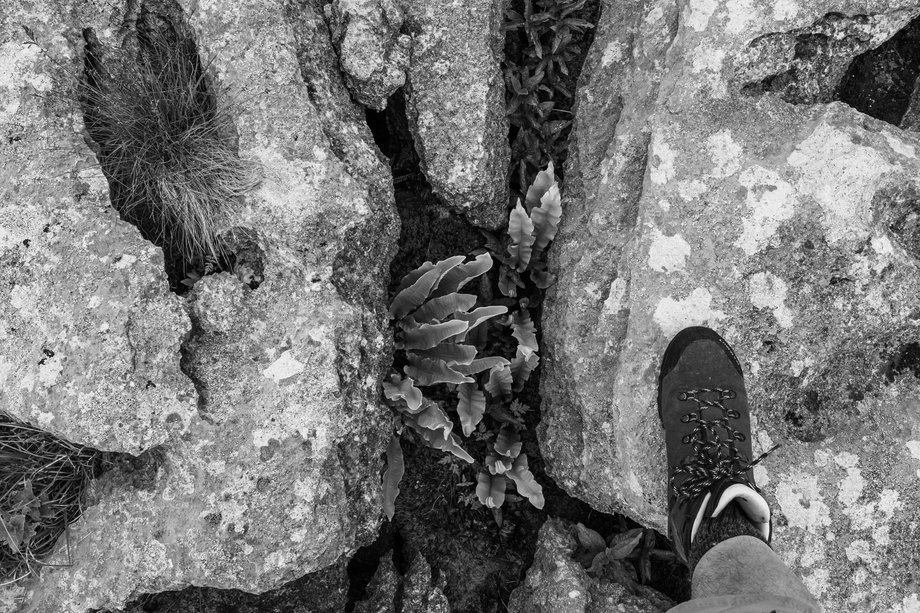 limestone pavement at great asby scar