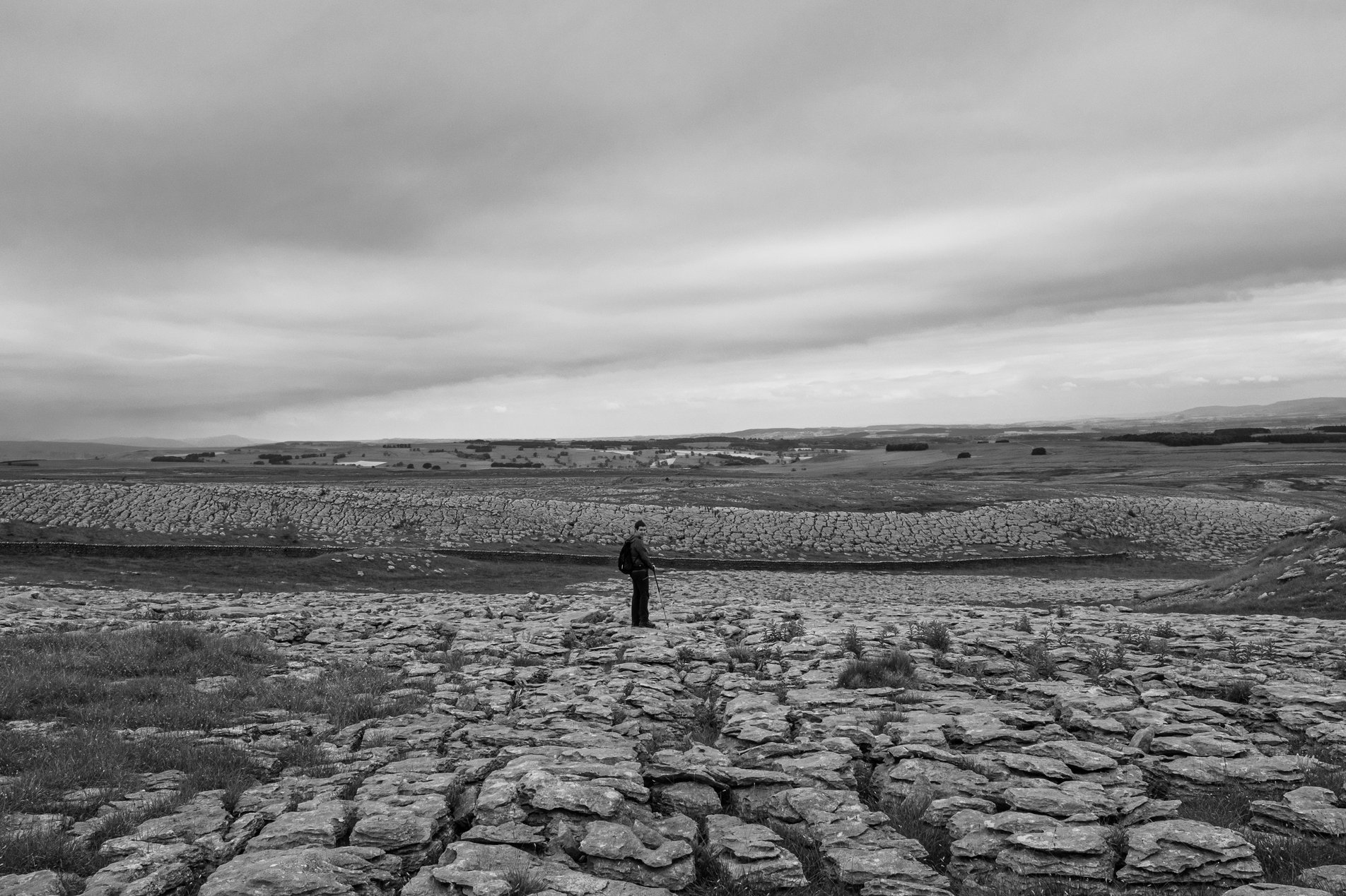 limestone pavement at great asby scar