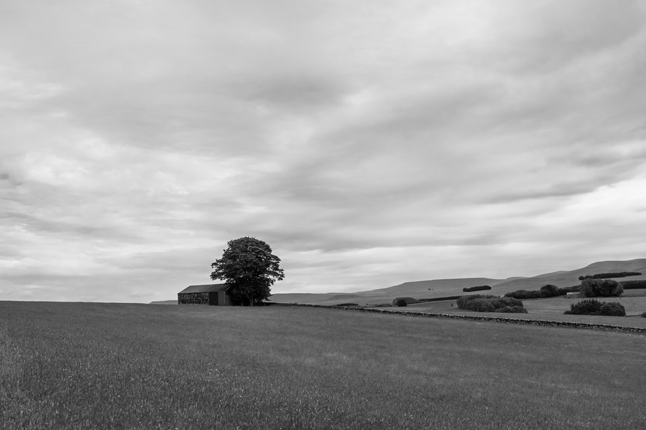 english rural landscape