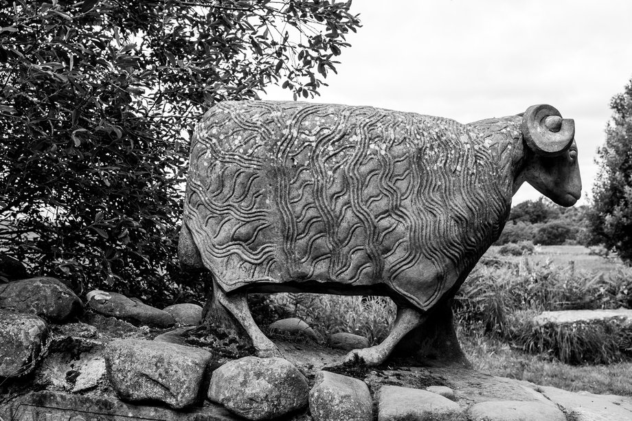 stone scupture of two life-sized sheep standing on a drystone wall by artist keith alexander