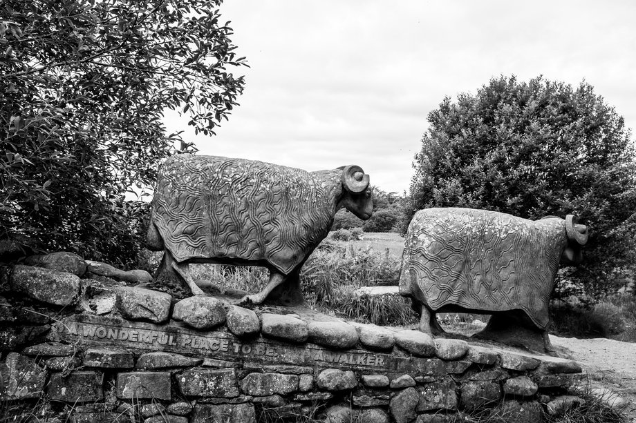 stone scupture of two life-sized sheep standing on a drystone wall by artist keith alexander