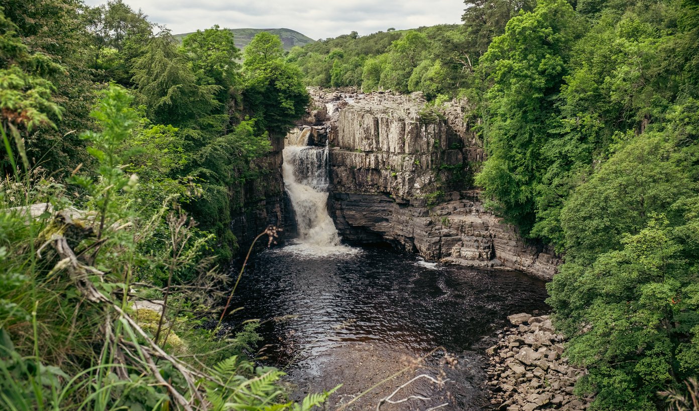 waterfall surrounded by trees
