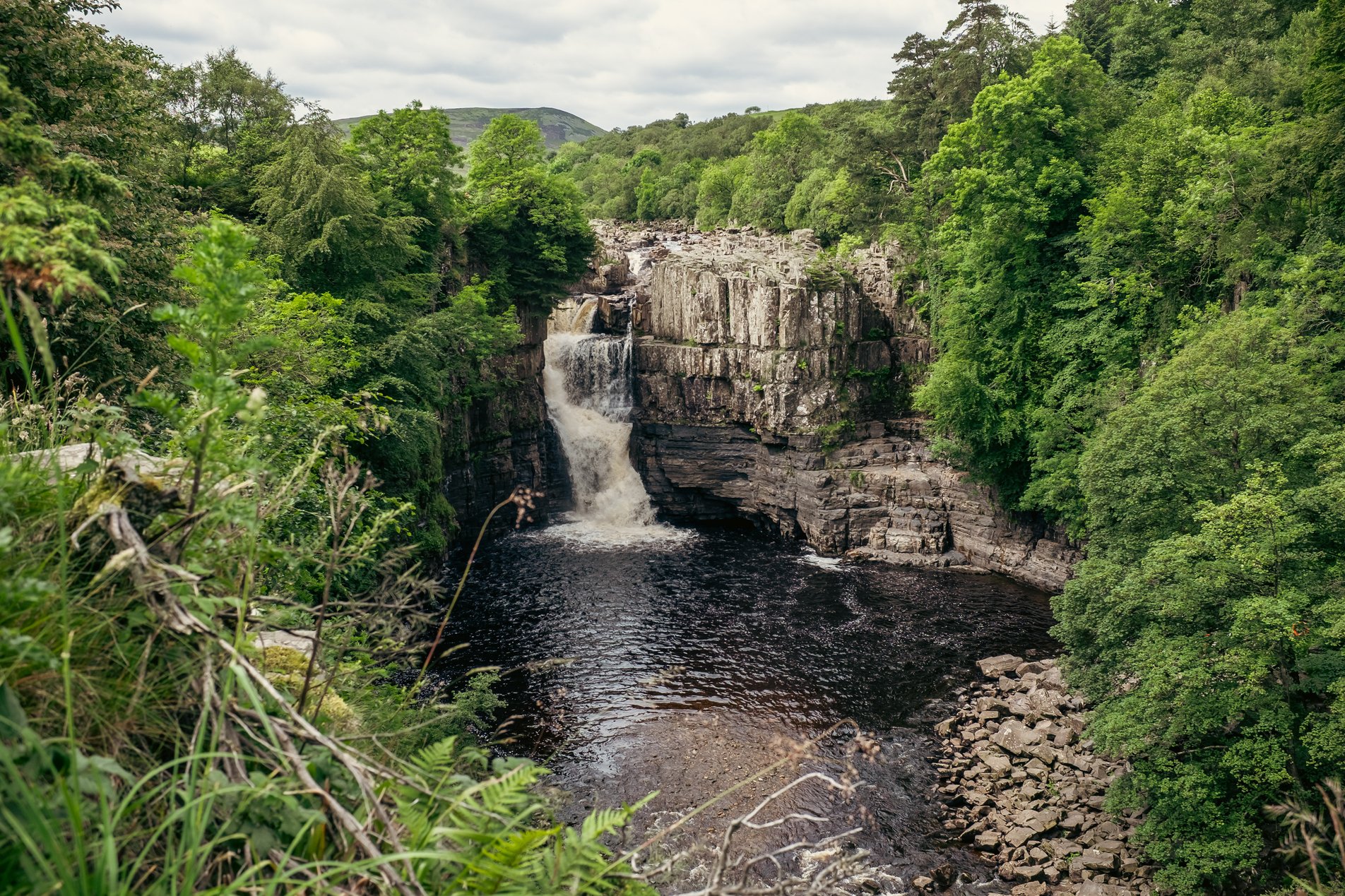 waterfall surrounded by trees