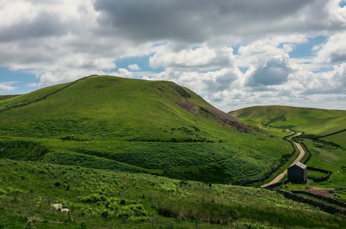 mountain landscape with lane and hut