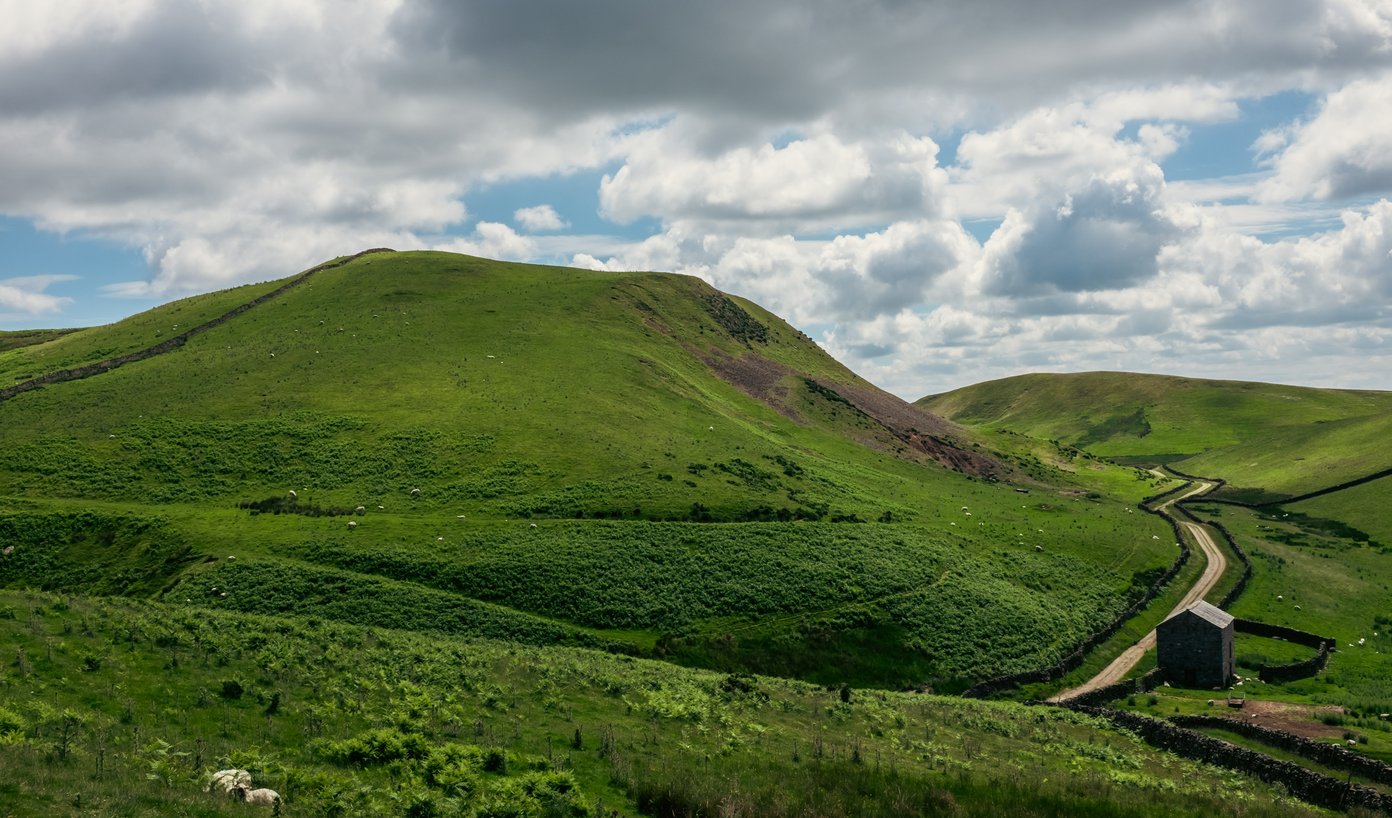 mountain landscape with lane and hut