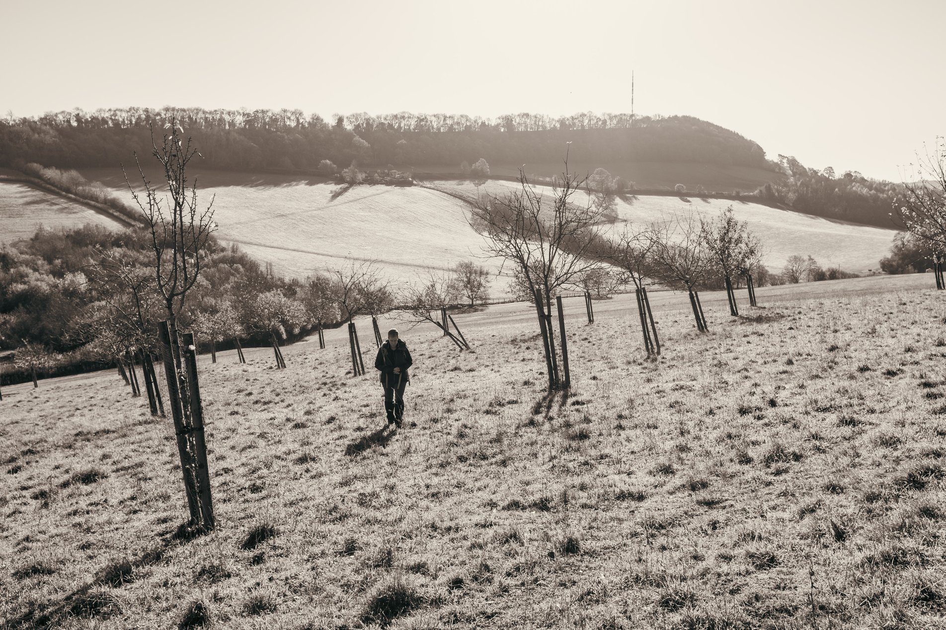 english rural landscape
