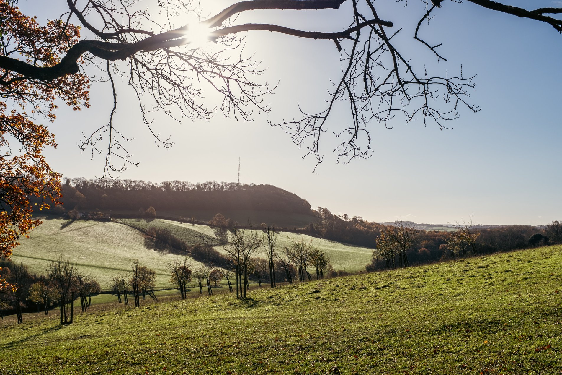 english rural landscape