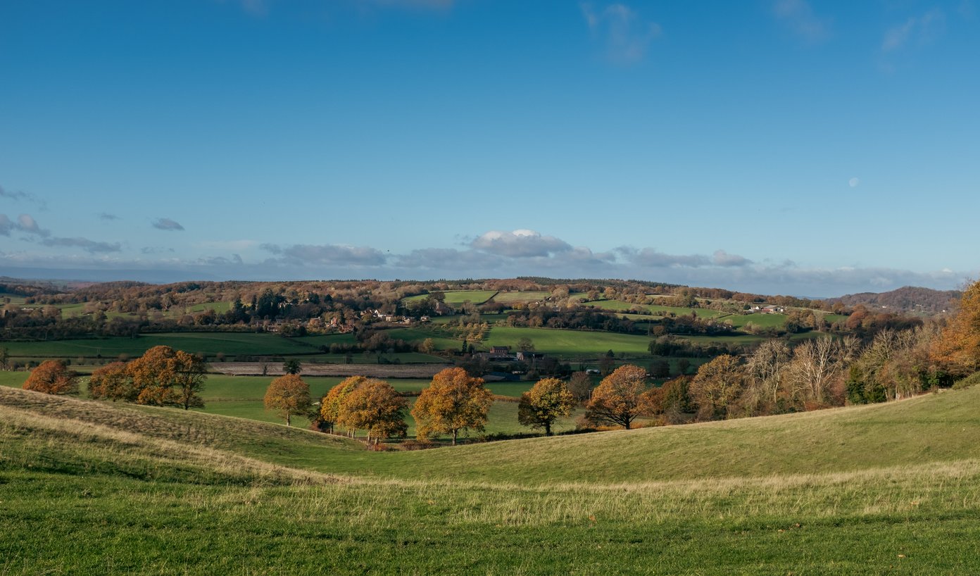rural english landscape with autumnal trees