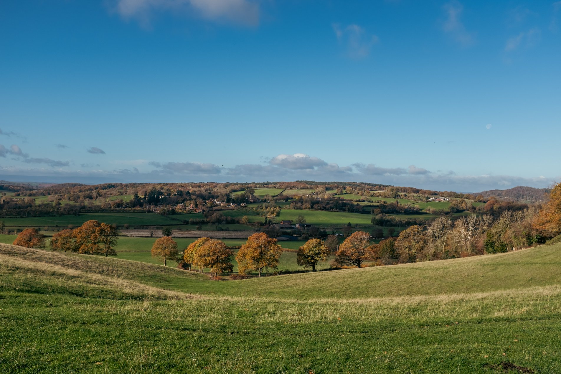 rural english landscape with autumnal trees